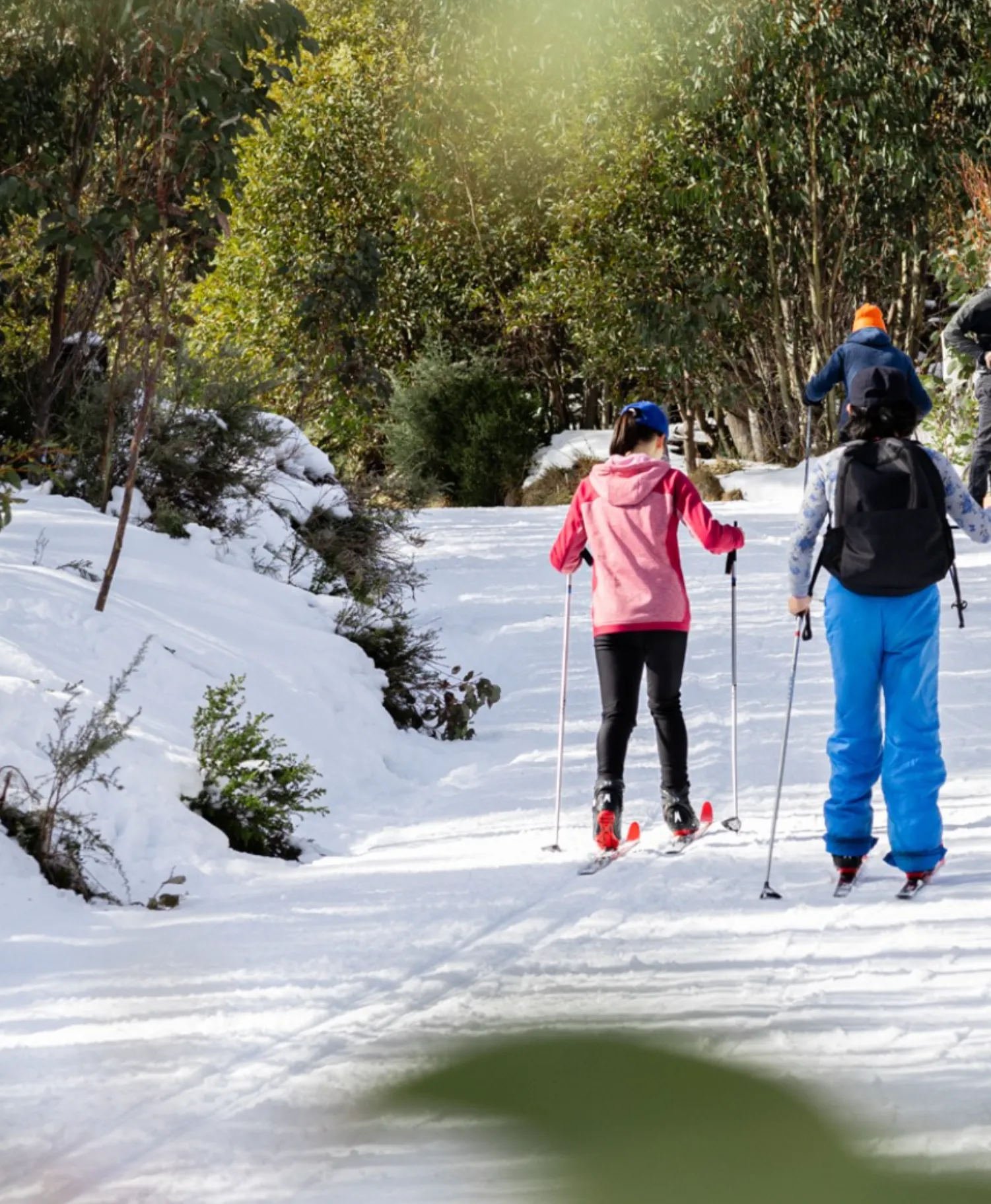 Top Skiing Spots