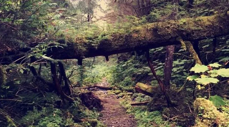 Trail Difficulty