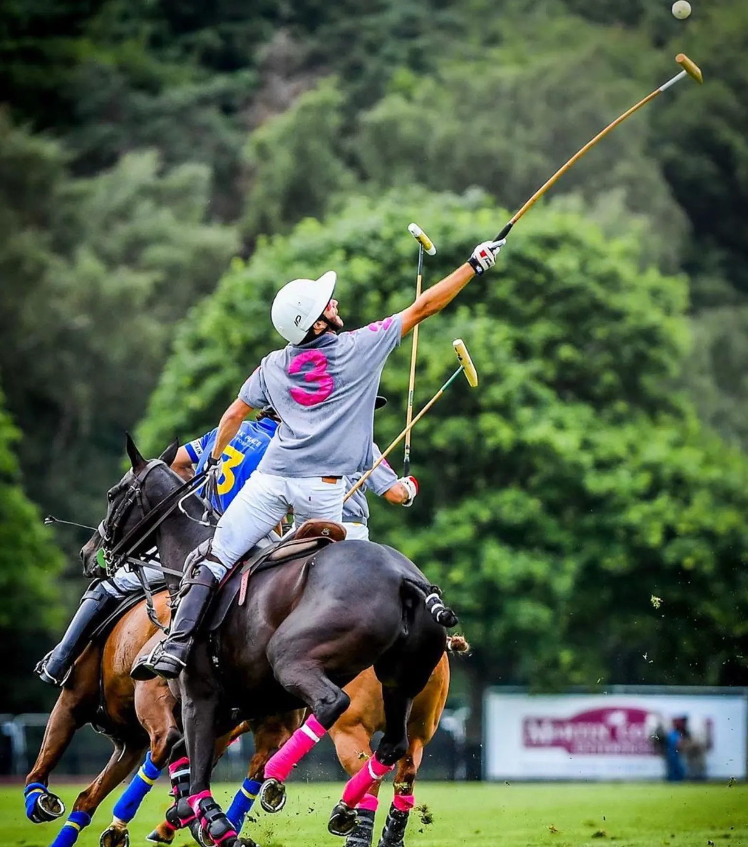 Types of Polo