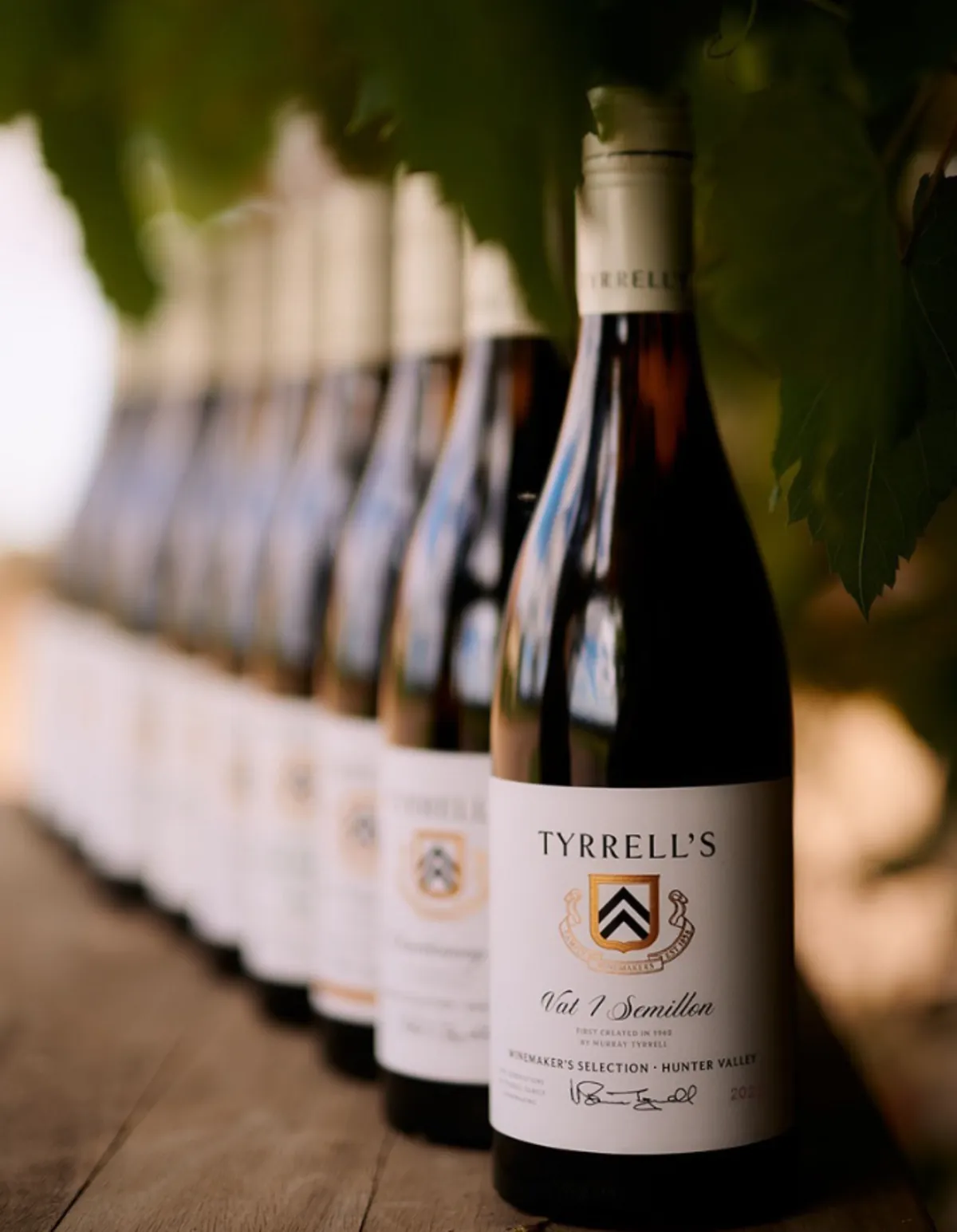 Tyrell's Vineyards