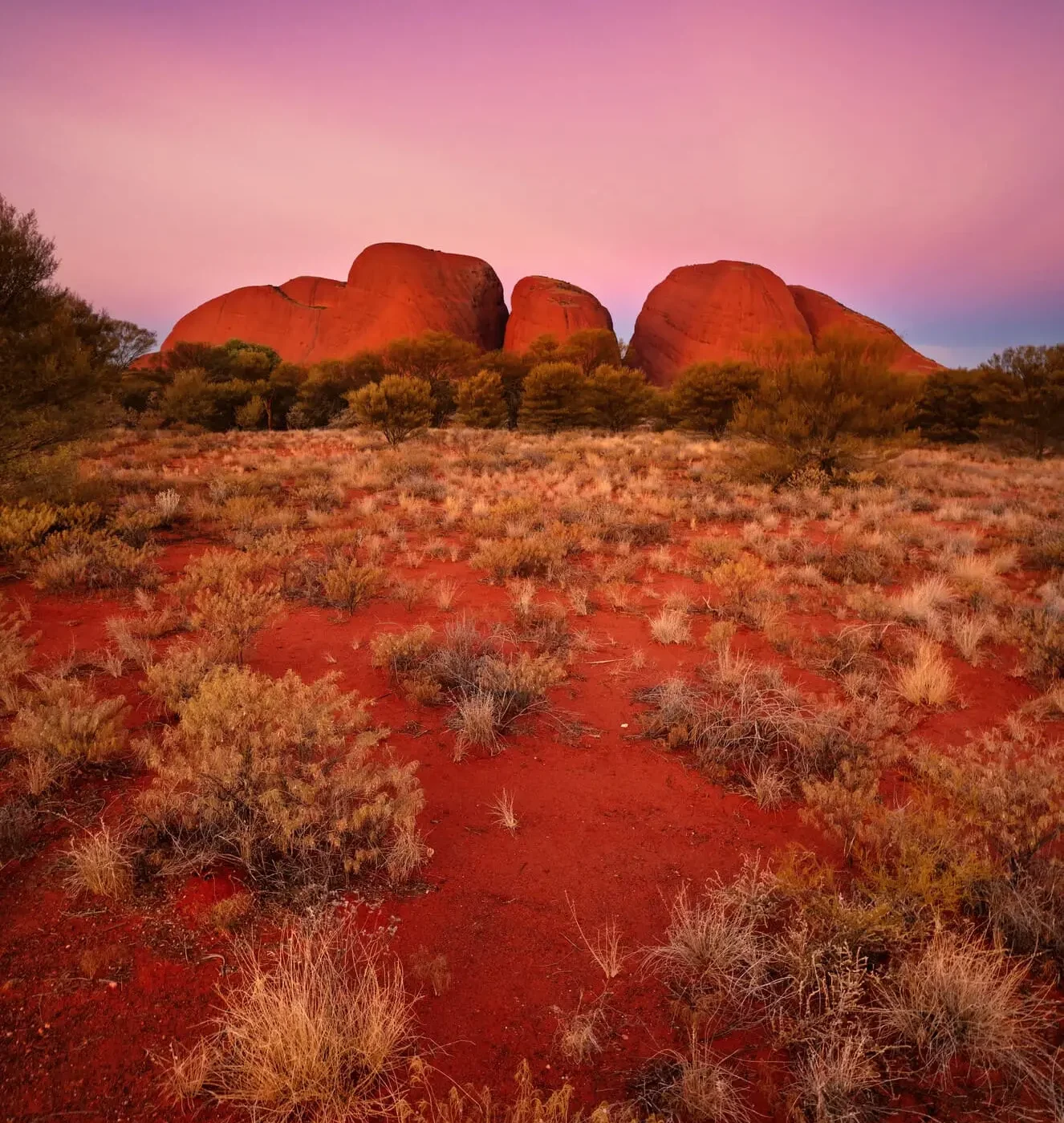 Uluru and Kings Canyon Explorer Trip