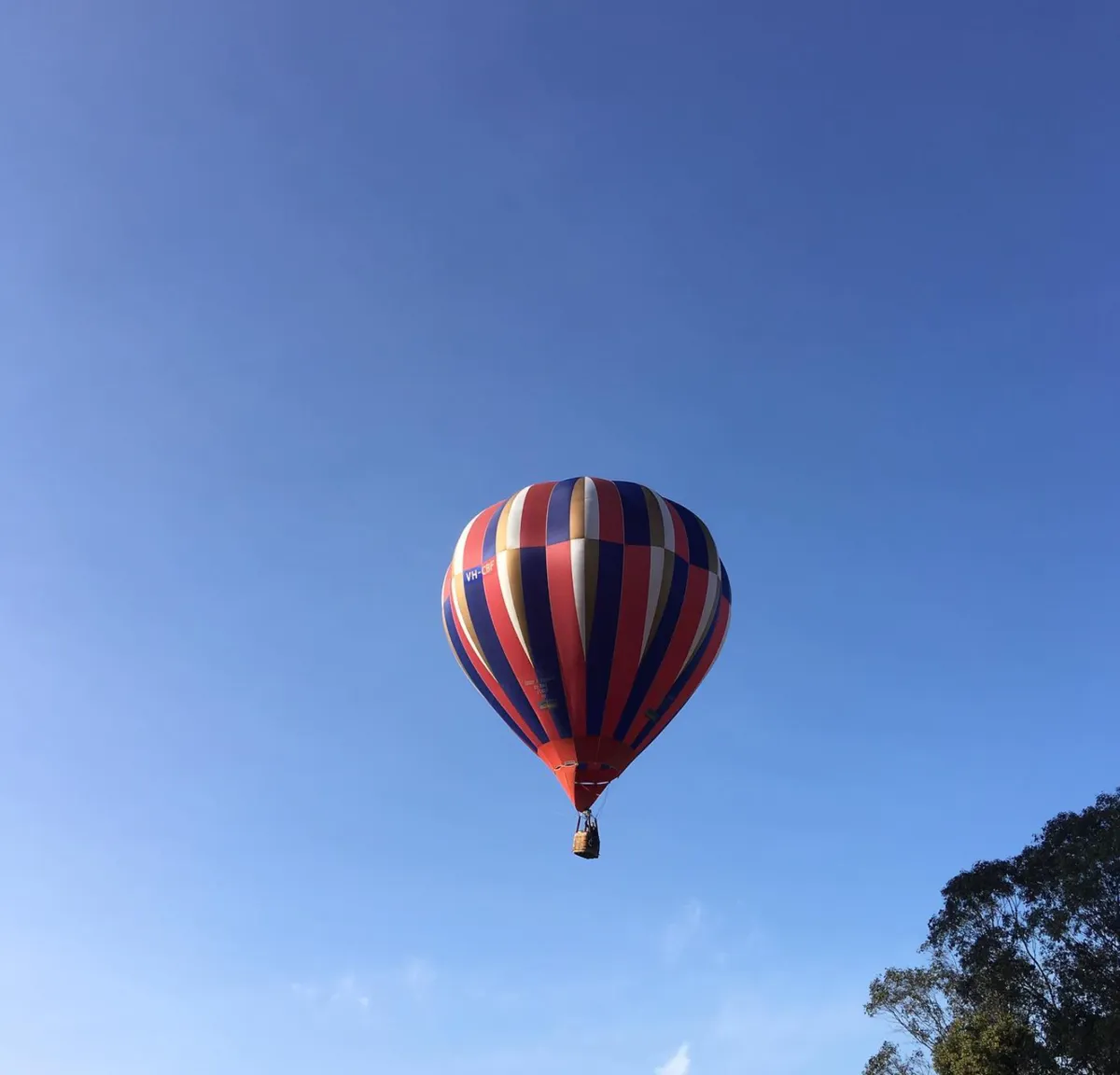 Unforgettable Adventure