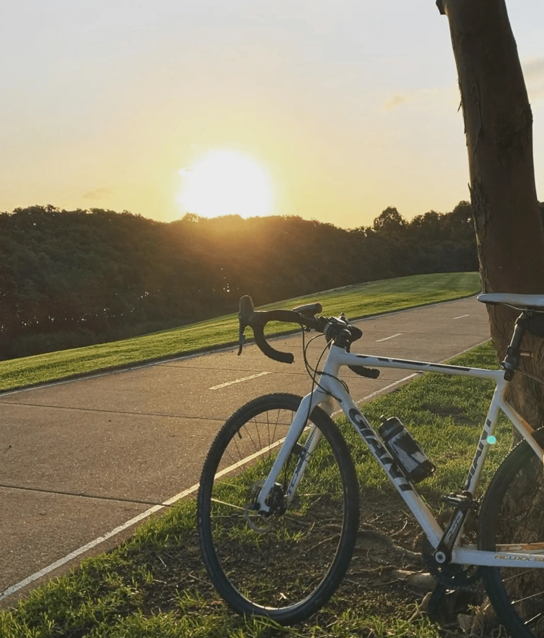 Valley Cycleway