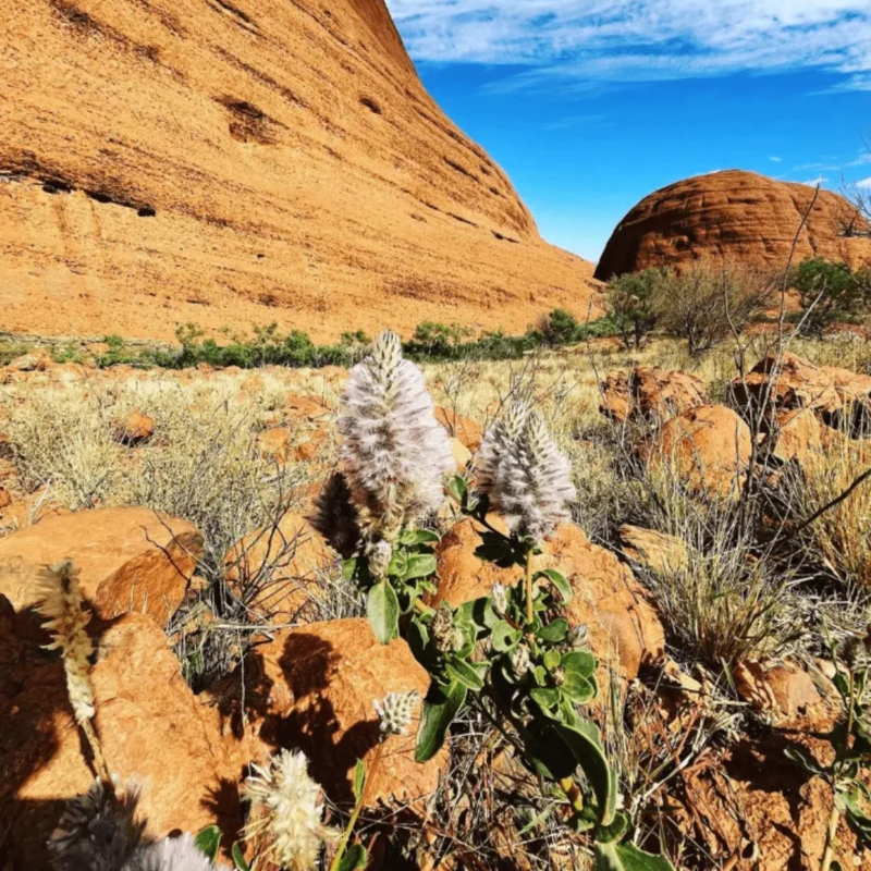Valley of the Winds