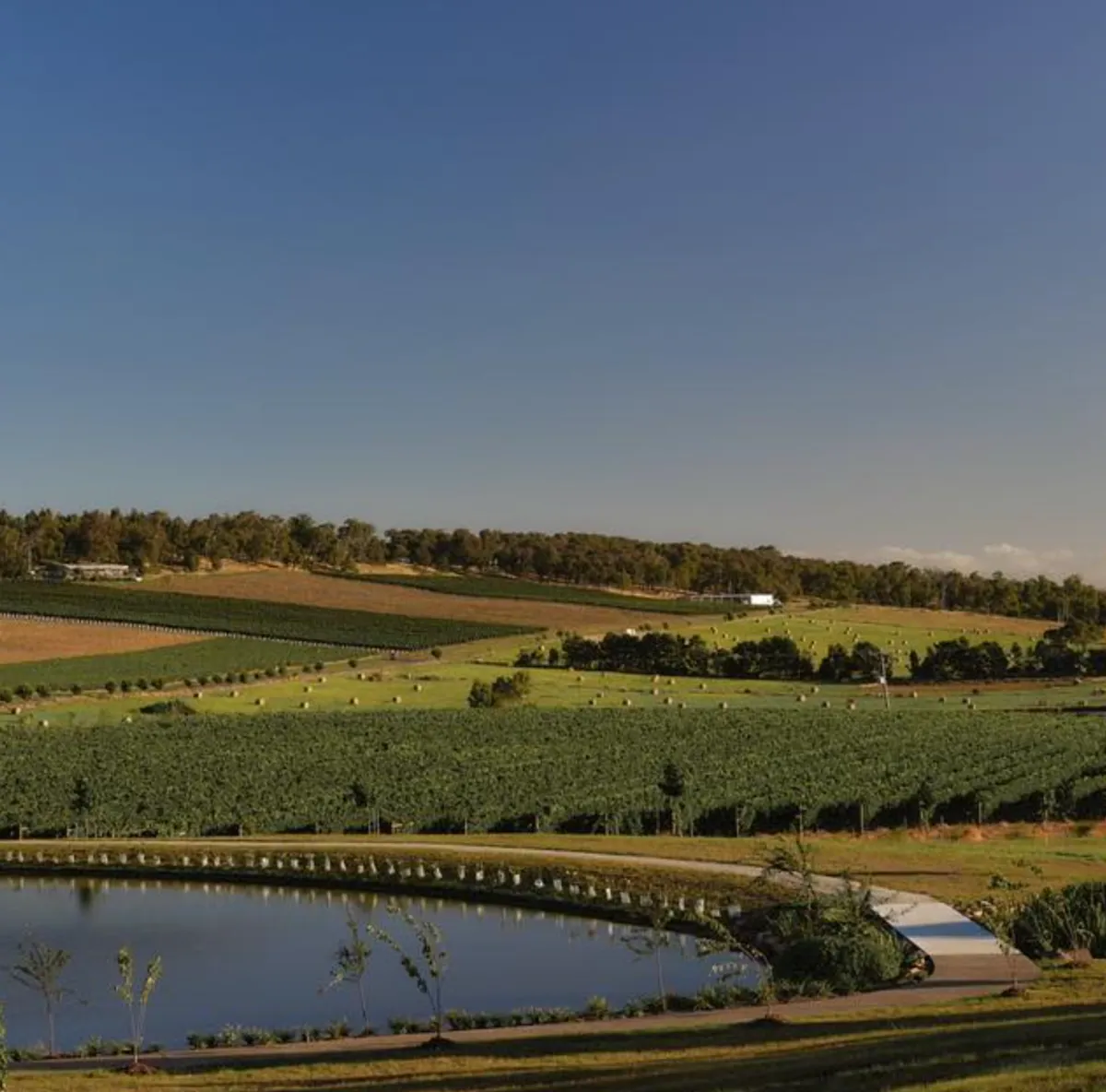 Valley’s Charm Yarra Valley