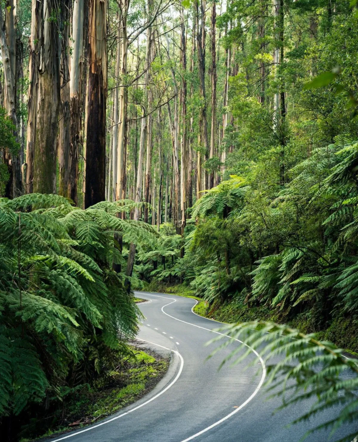 Valley’s Natural Wonders
