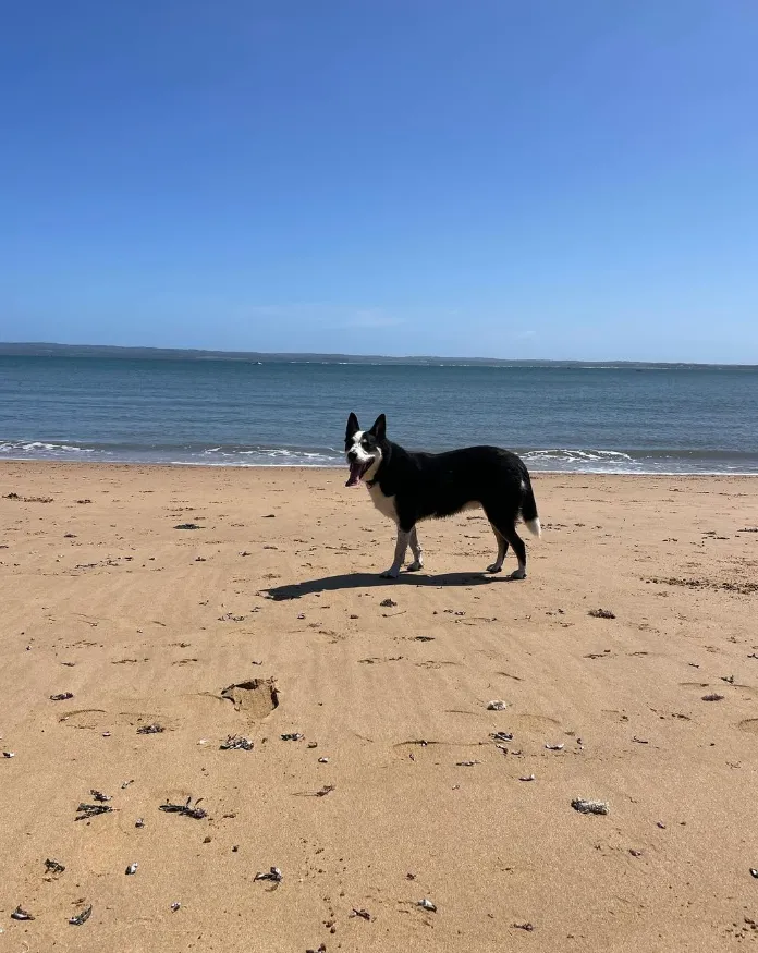 Ventnor Beach