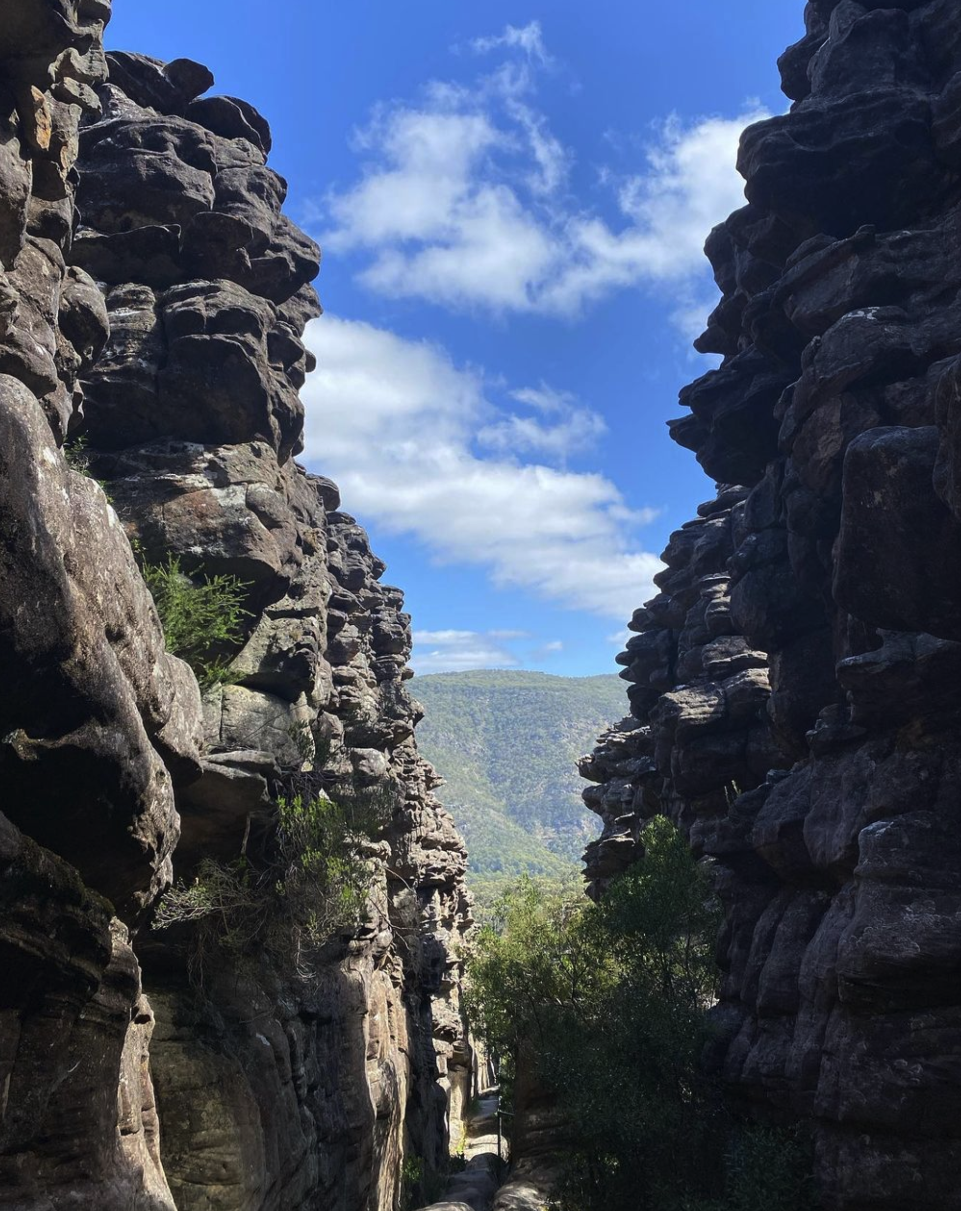 Victoria Range