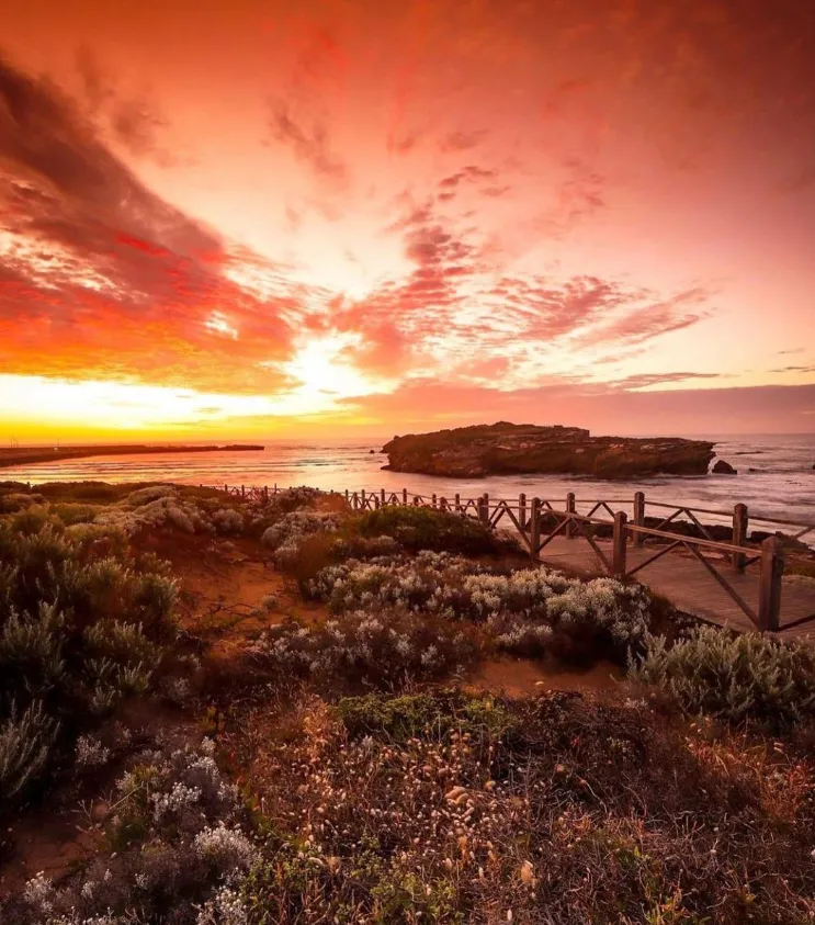 Visit Cannon Hill Lookout and be amazed