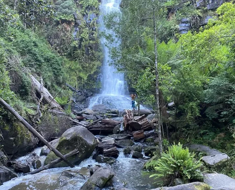 Visit the Erskine Falls