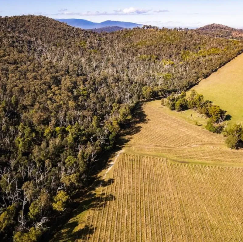 Visit the Toolangi