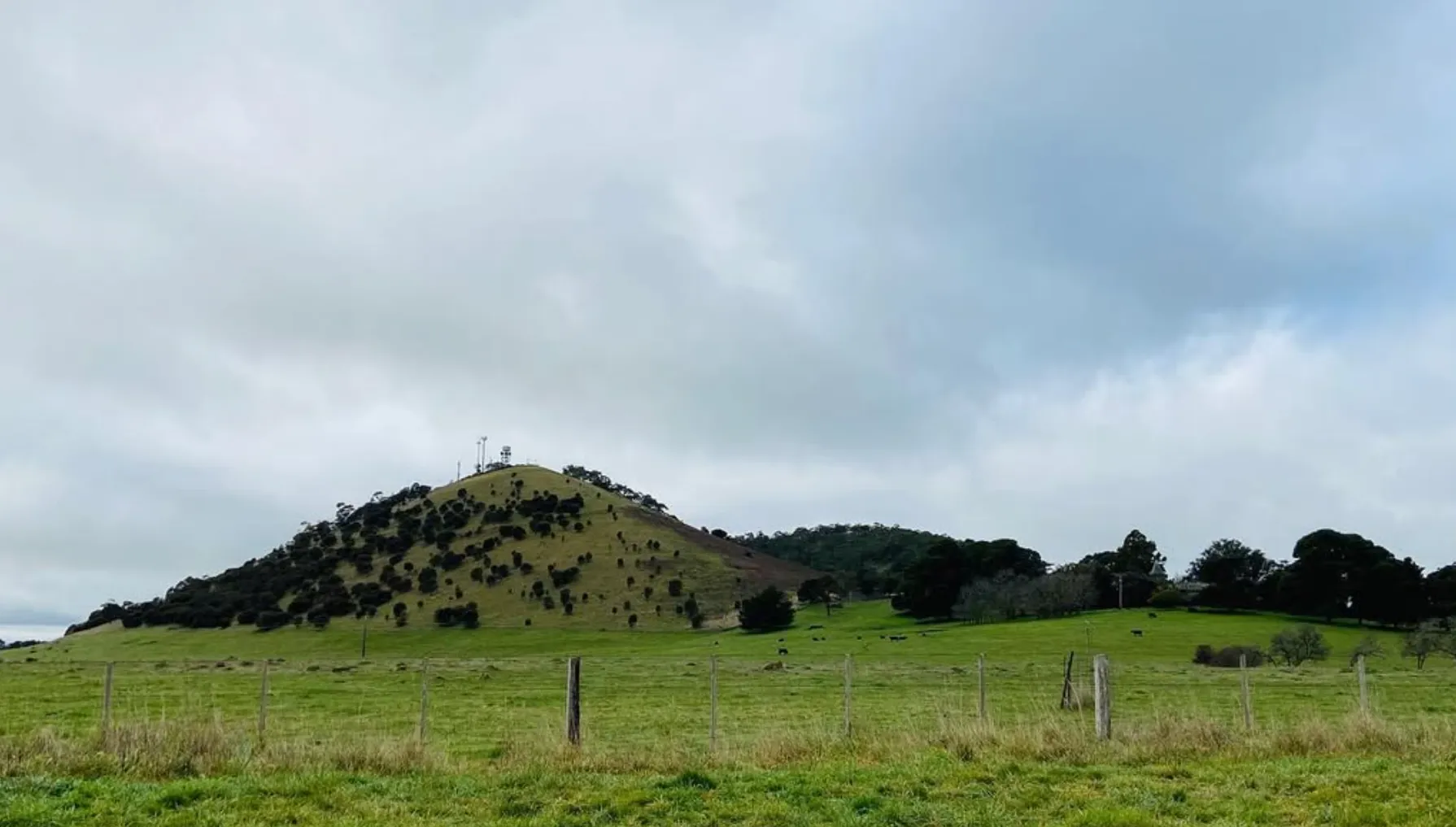 Walking to the top