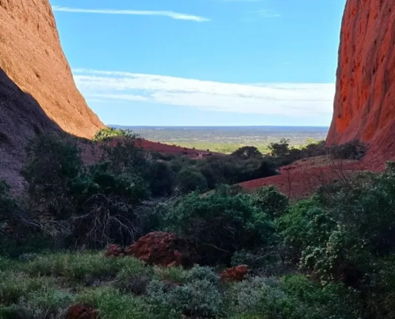 Walpa Gorge