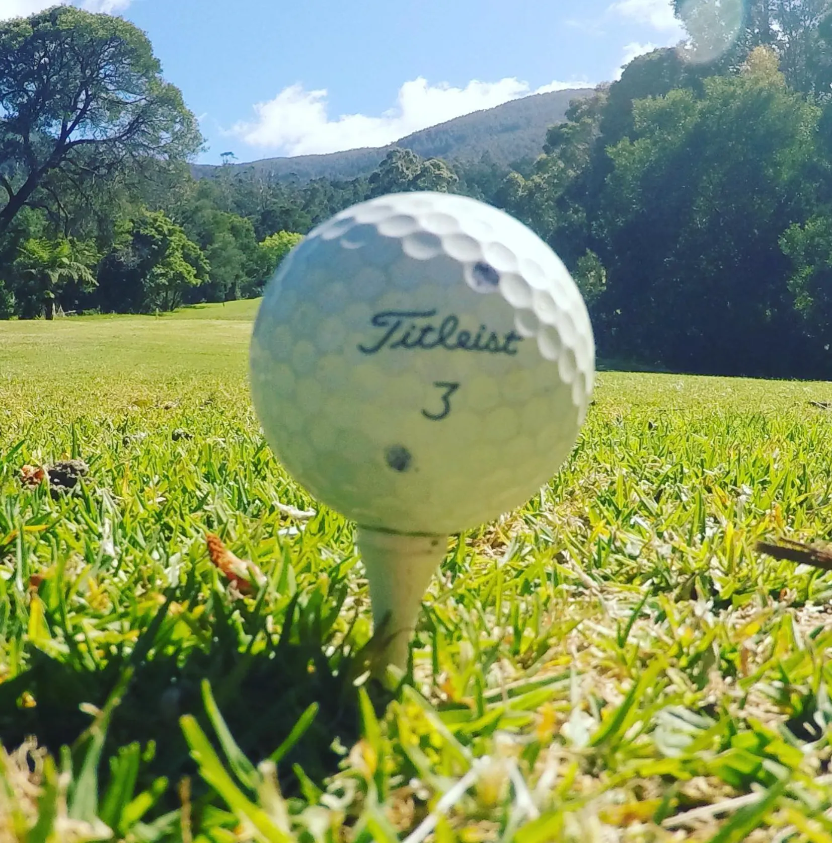 Warburton Golf