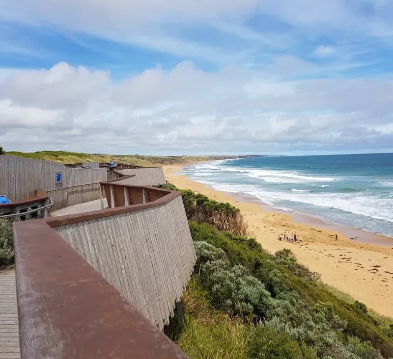 Warrnambool Whale Watching