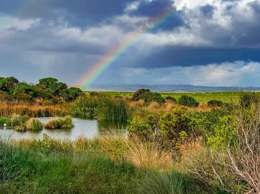 Wetland Heaven