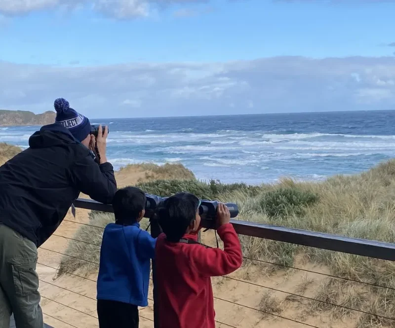 Whale Discovery Trail