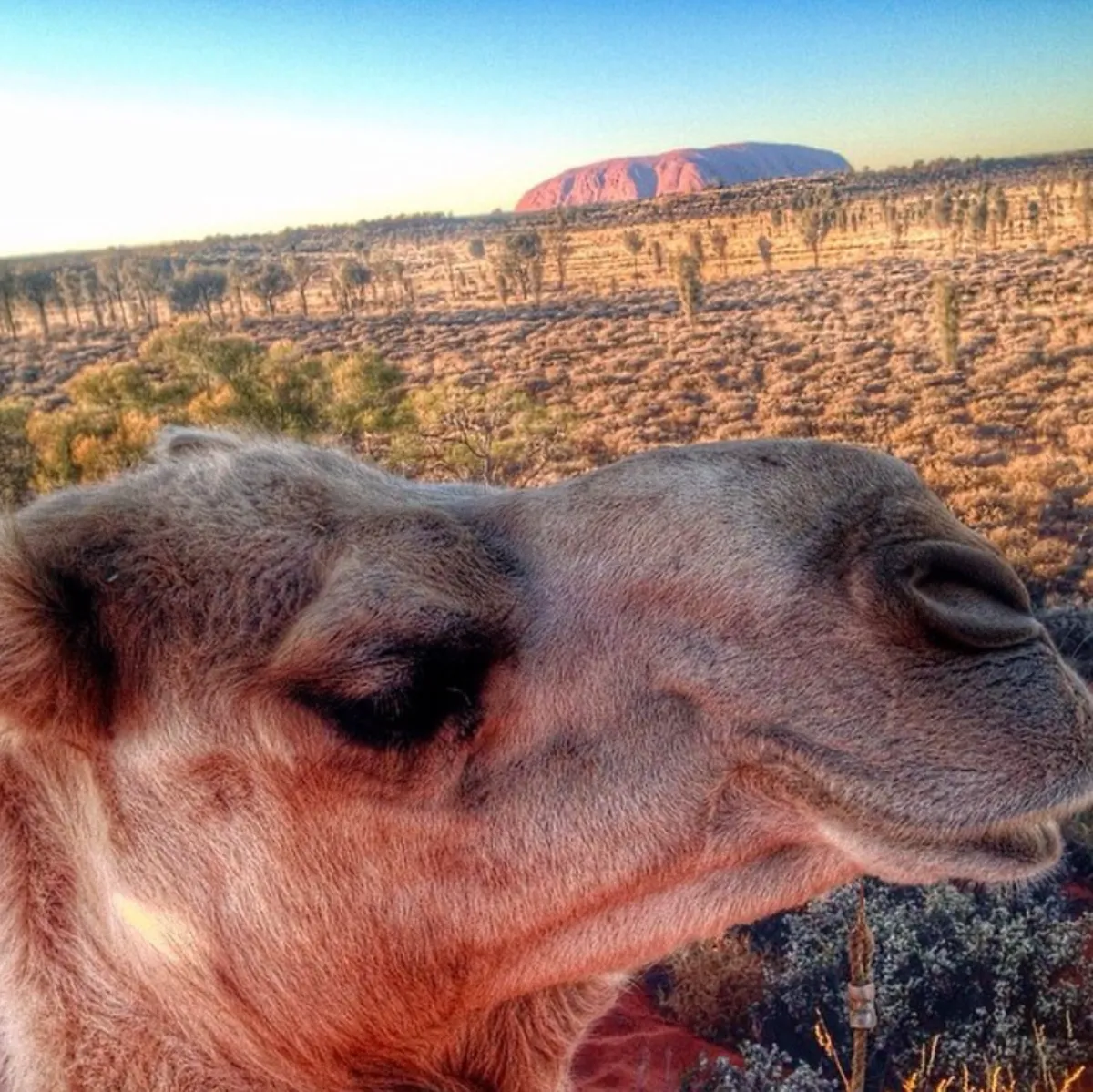 Why Photograph Uluru