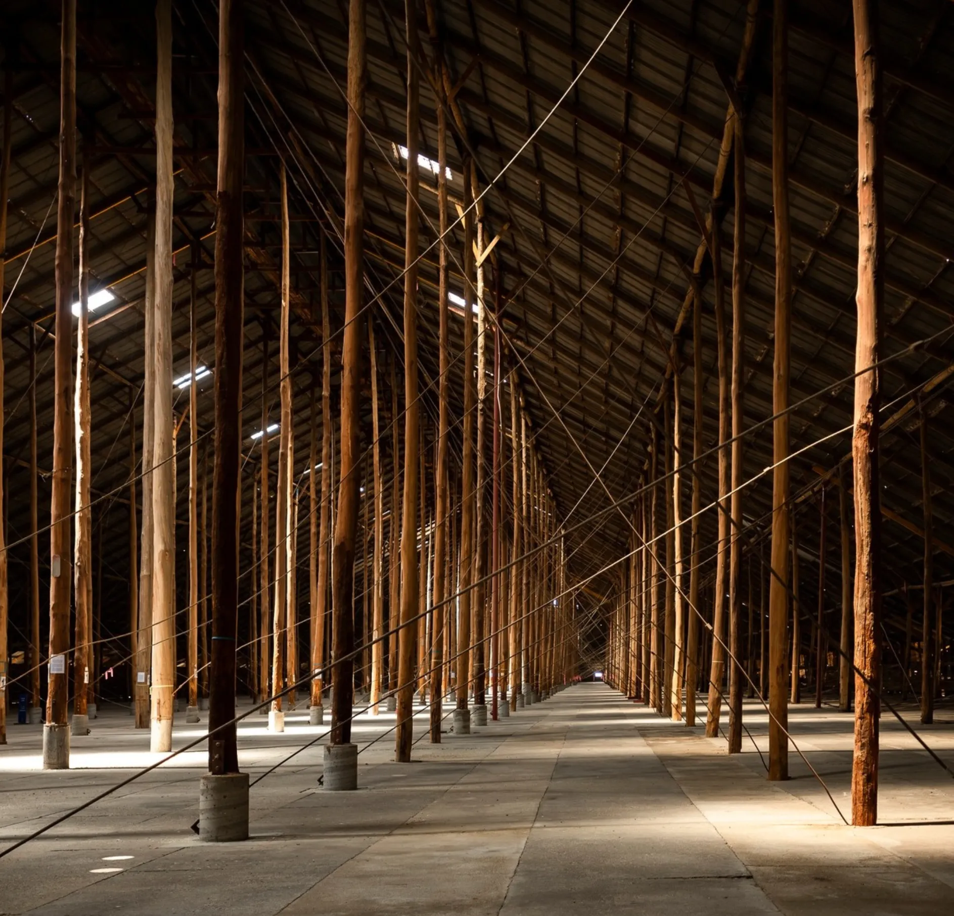 Why Visit the Stick Shed