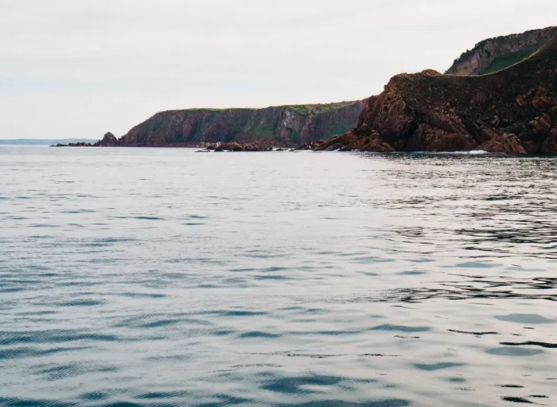 Wildlife Coast Cruises Phillip Island
