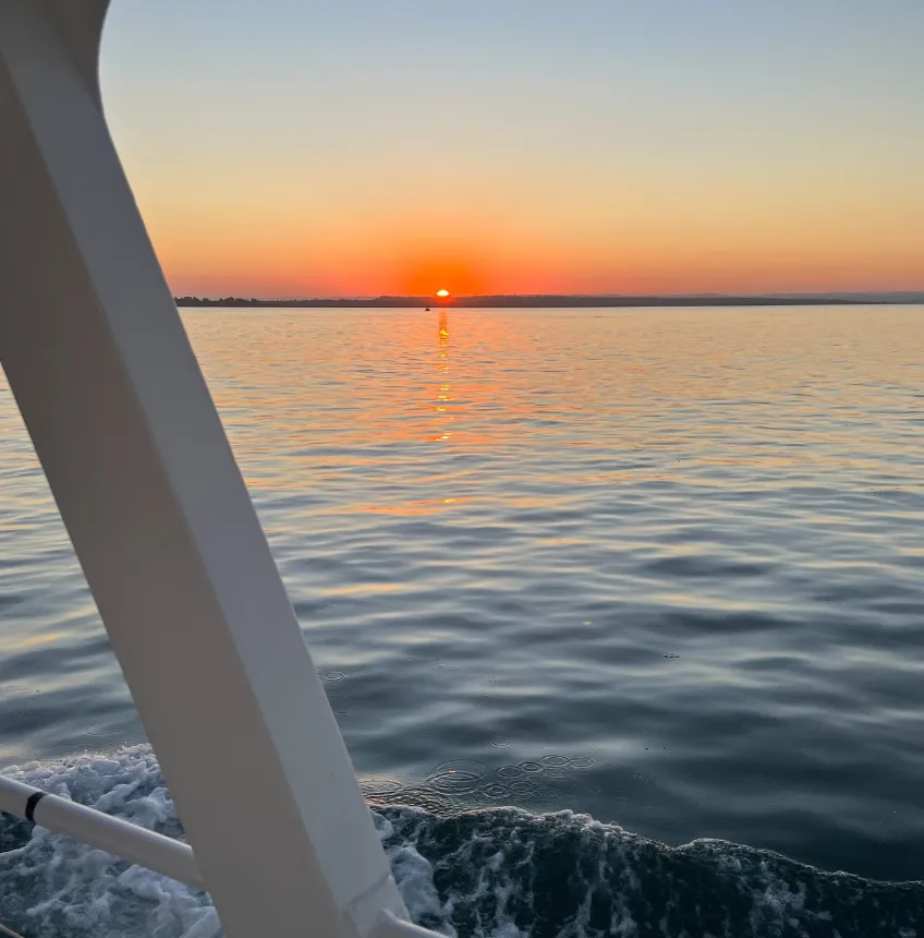 Wildlife Coast Cruises at Sunset