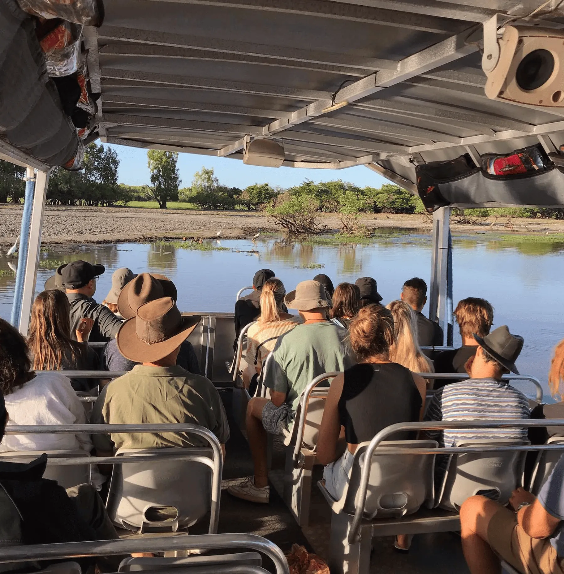 Wildlife Cruise