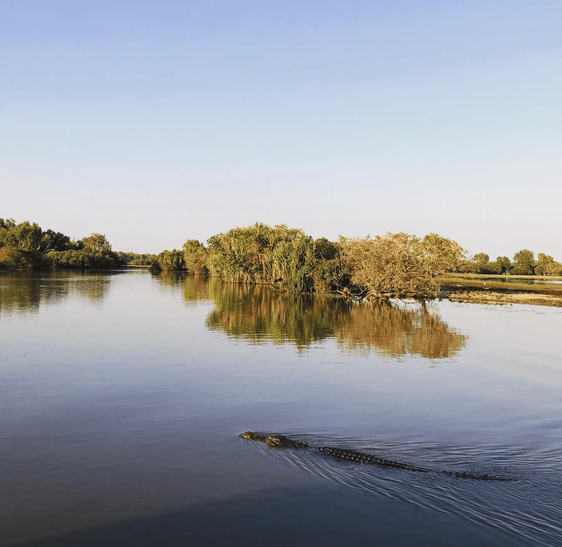 Wildlife and Croc Safety