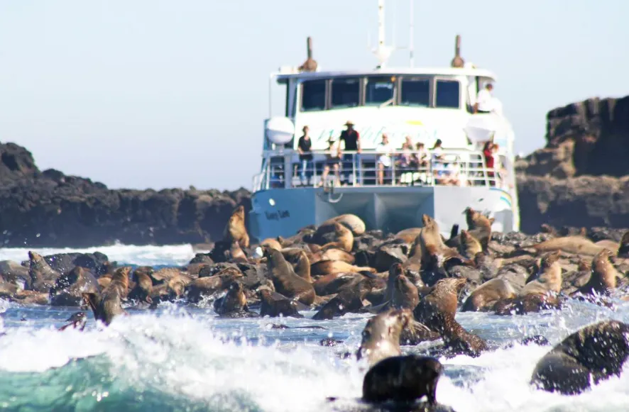 Wilsons Promontory Full-Day Eco-Cruise