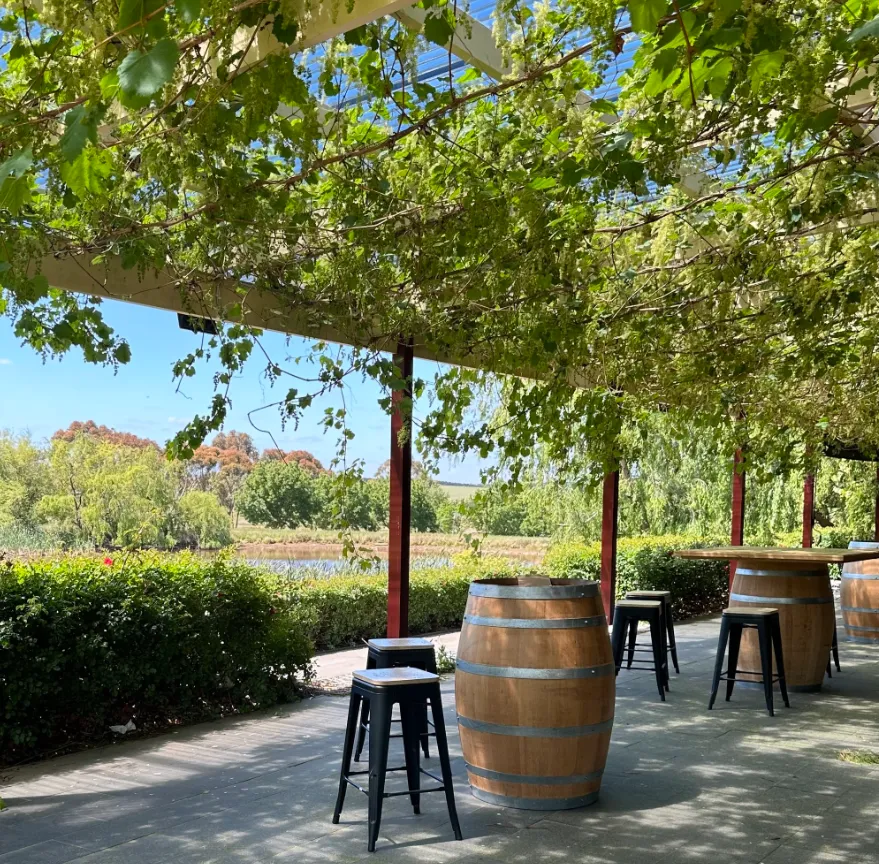 Wine Tours