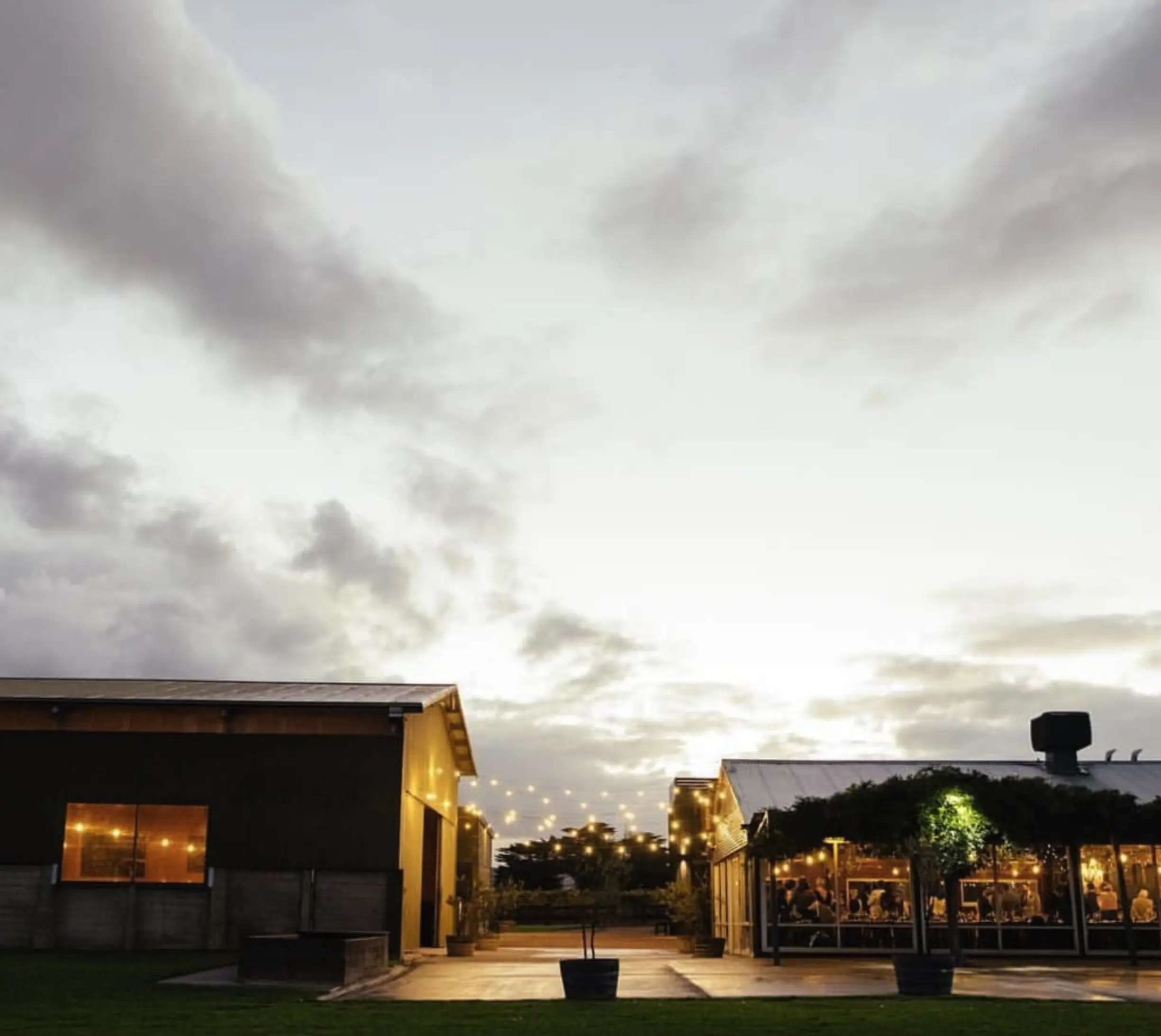 Wine tasting at Zonzo Estate