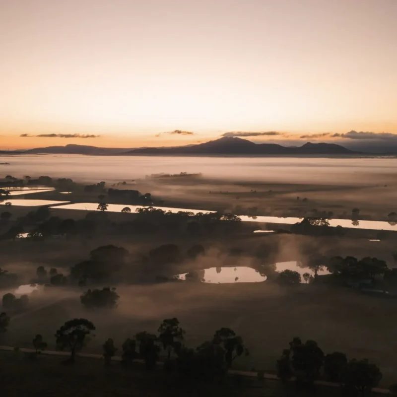 Wineries Grampians