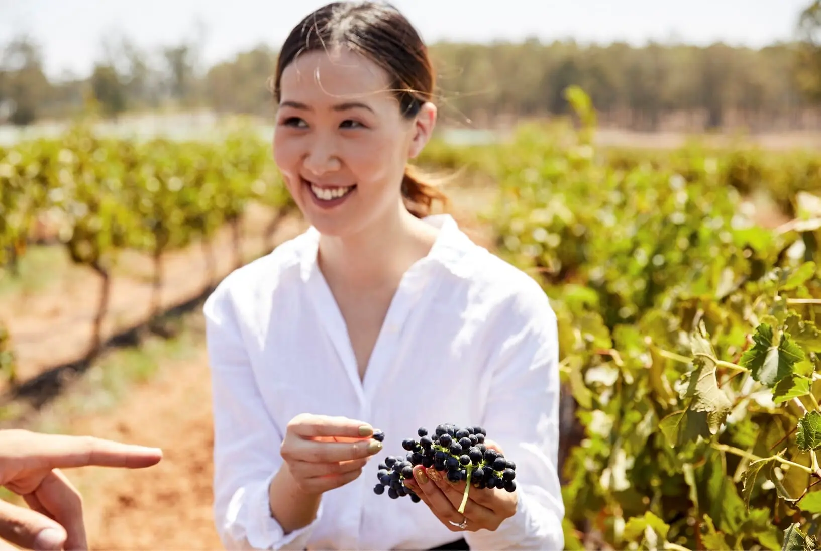 Winery tours