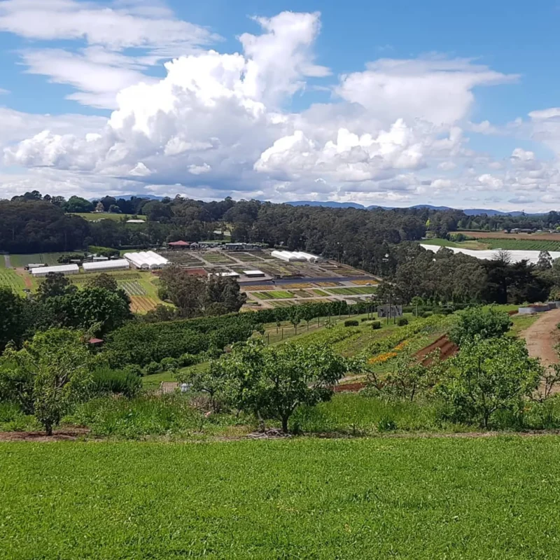 Yarra Ranges Herb Farm