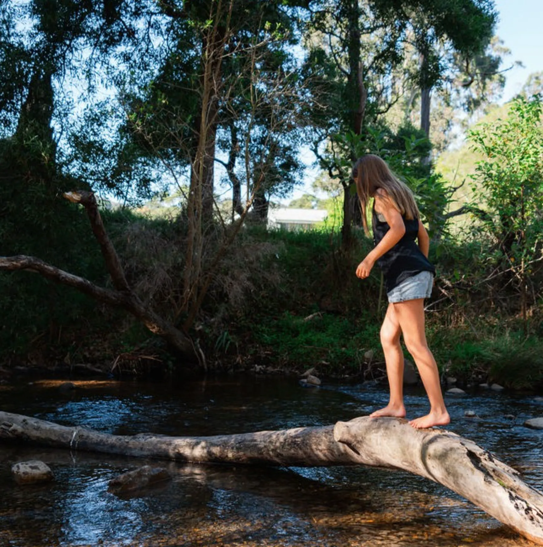 Yarra Ranges National Park