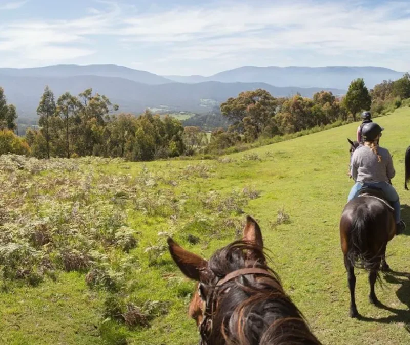 Yarra Ranges and Victorian High Country
