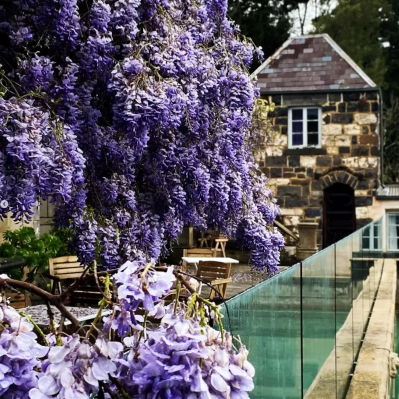Yarra Valley Botanical Gardens
