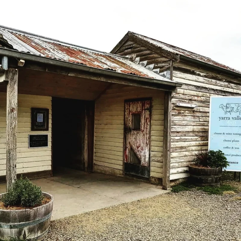 Yarra Valley Dairy trip