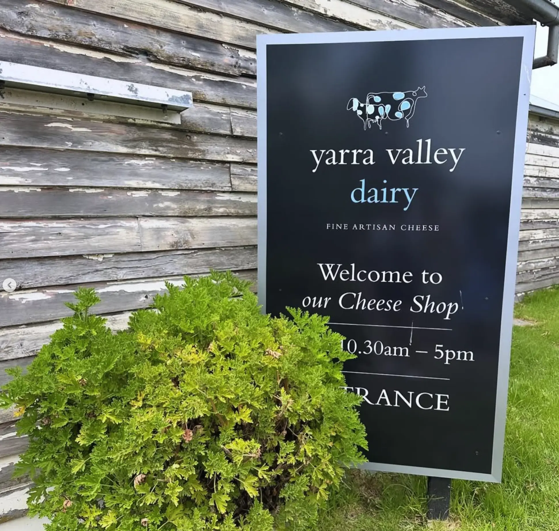 Yarra Valley Dairy working hours