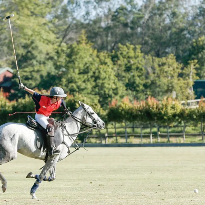 Yarra Valley Polo Club
