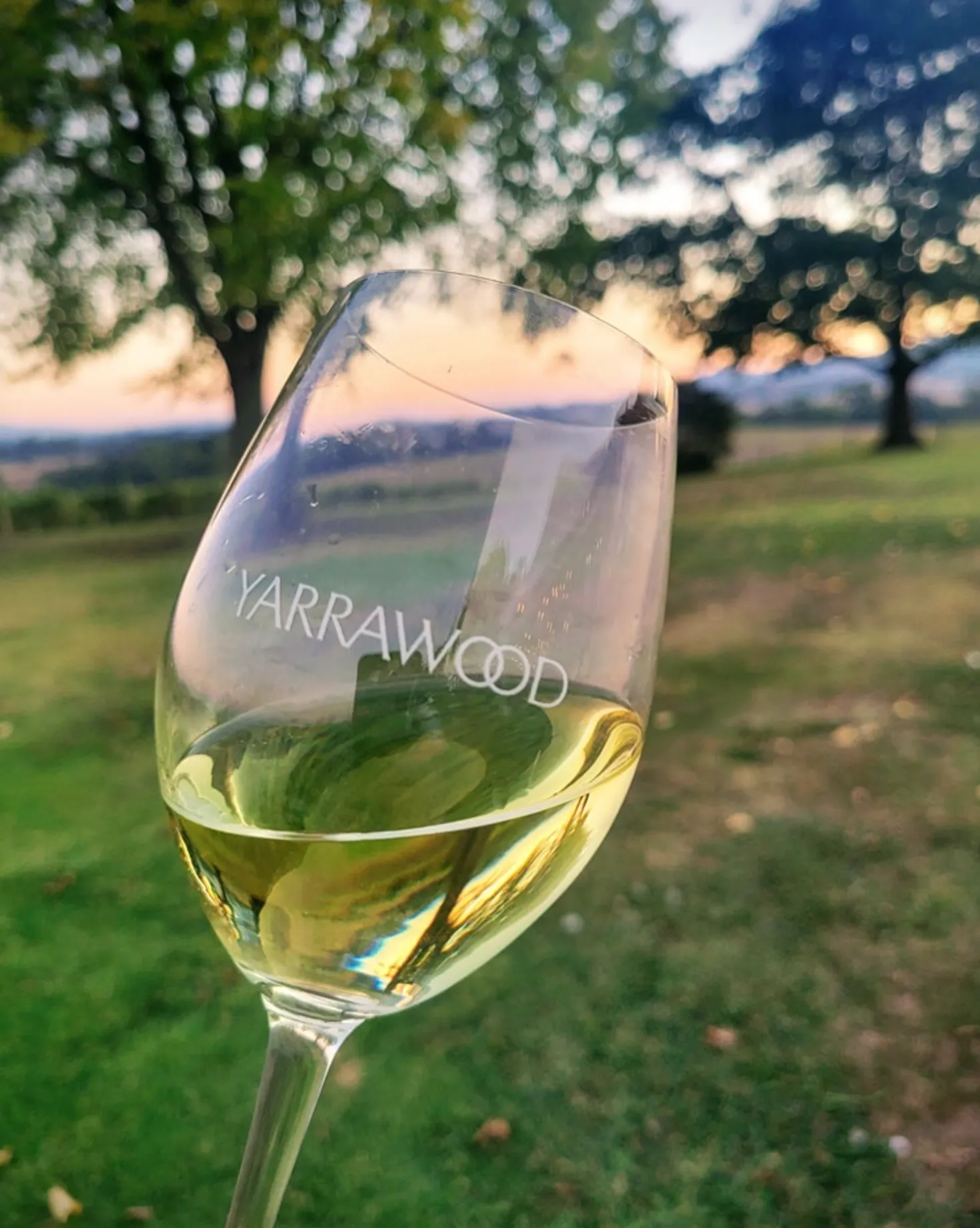 Yarrawood Estate Cellar Door