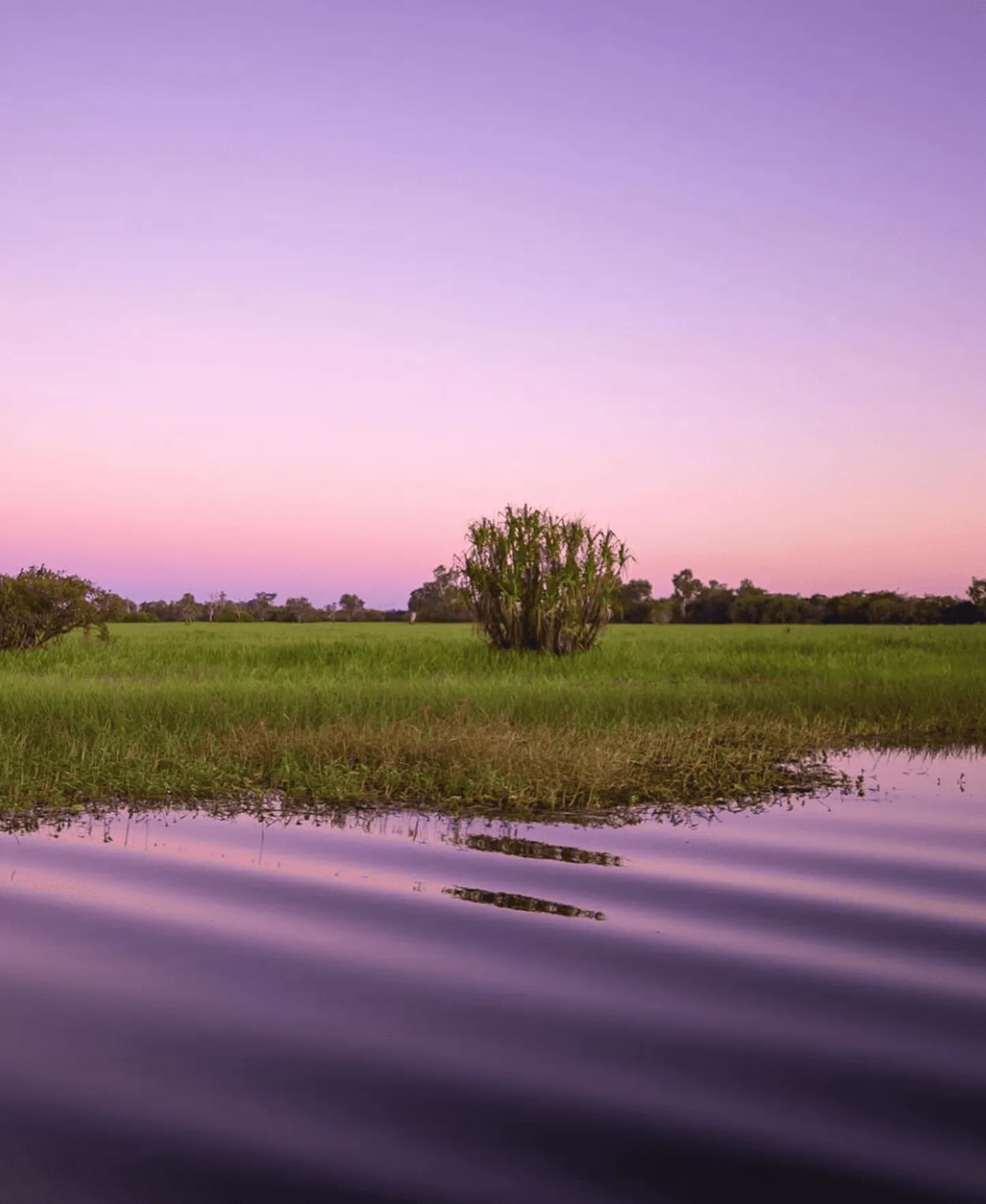 Yellow Water Billabong