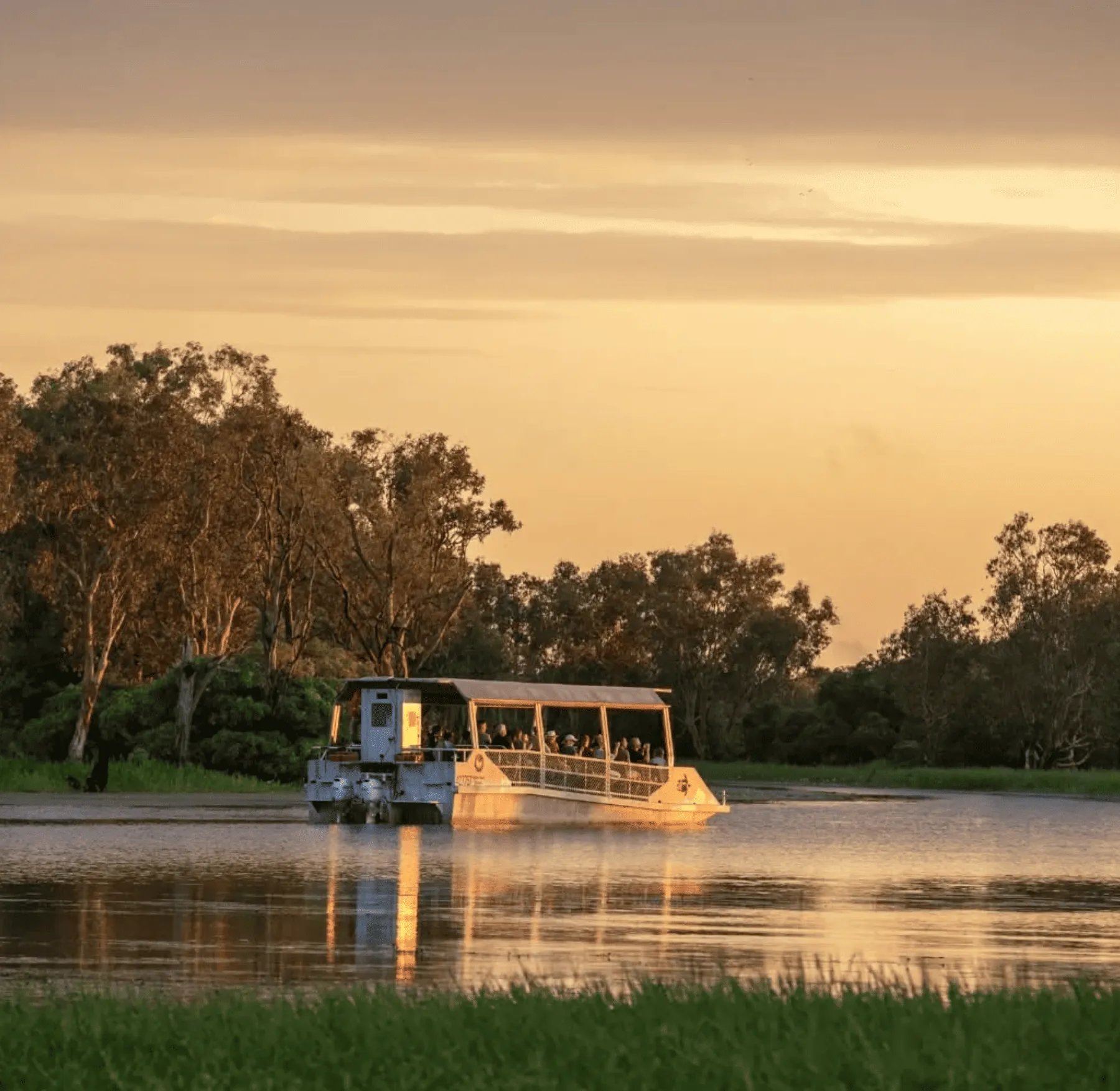 Yellow Water Cruises