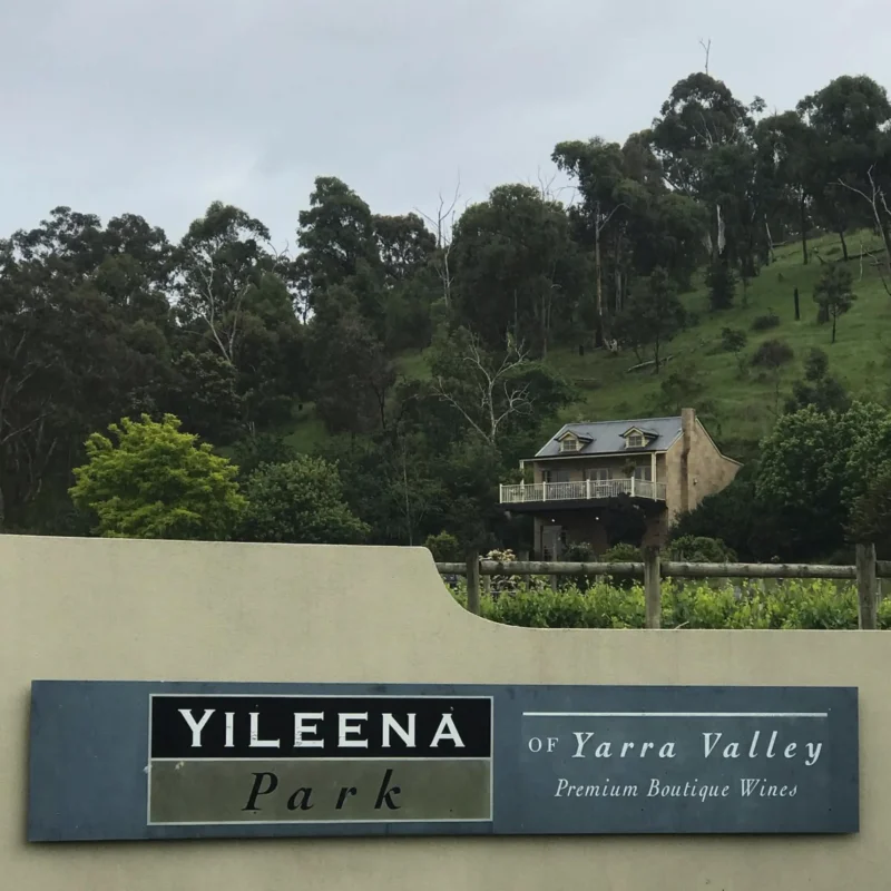Yileena Park