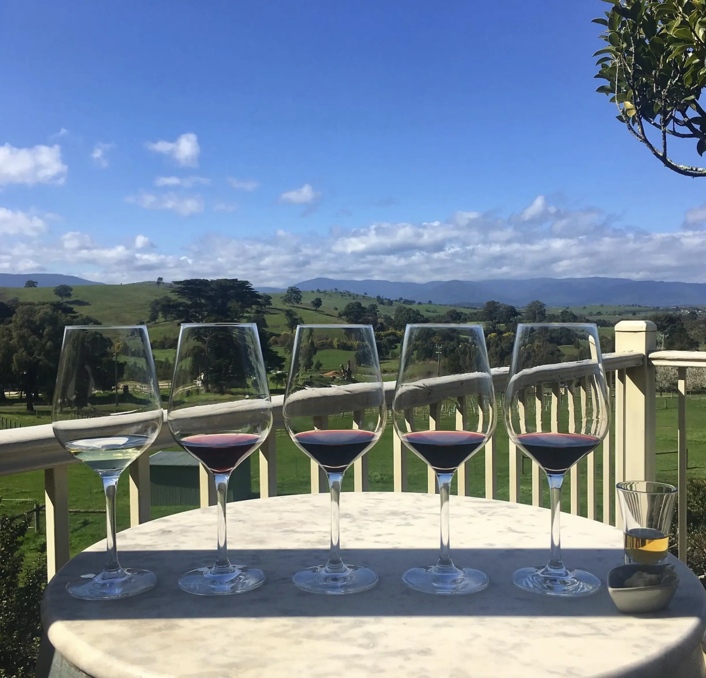 Yileena Park winery
