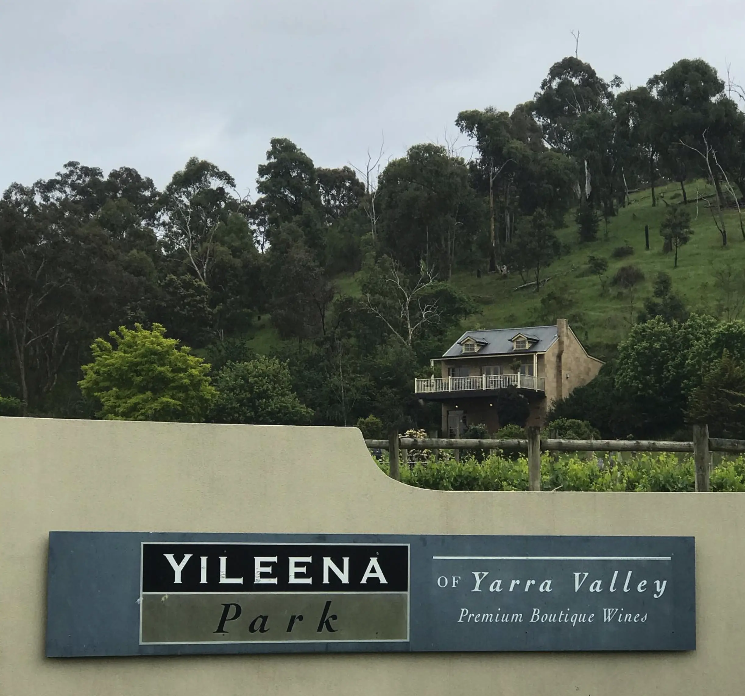 Yileena Park