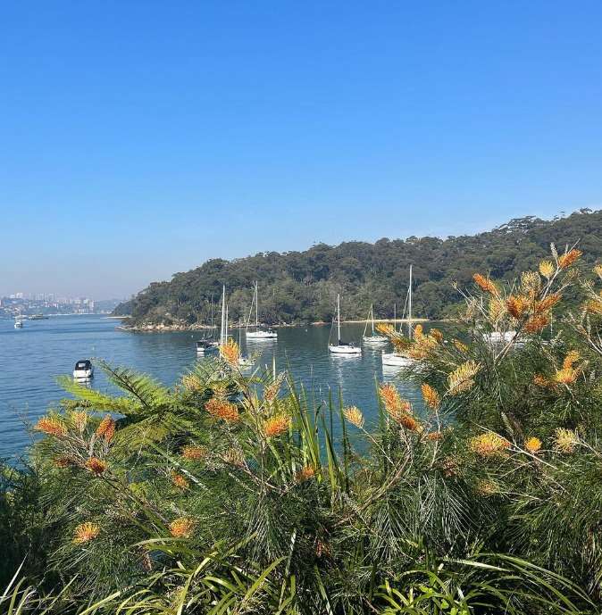 things to see in sydney