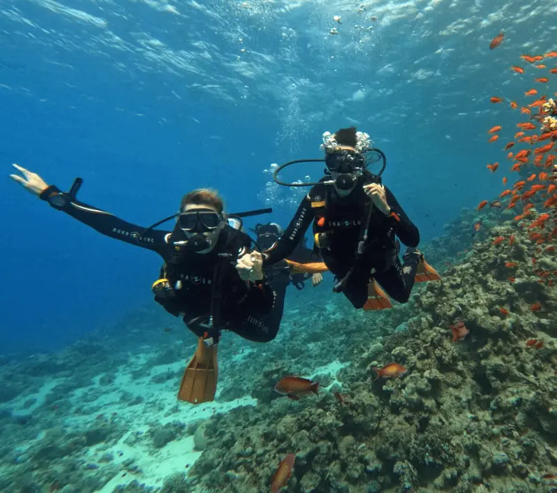 You can scuba dive at the Octopus Garden Marine Trail