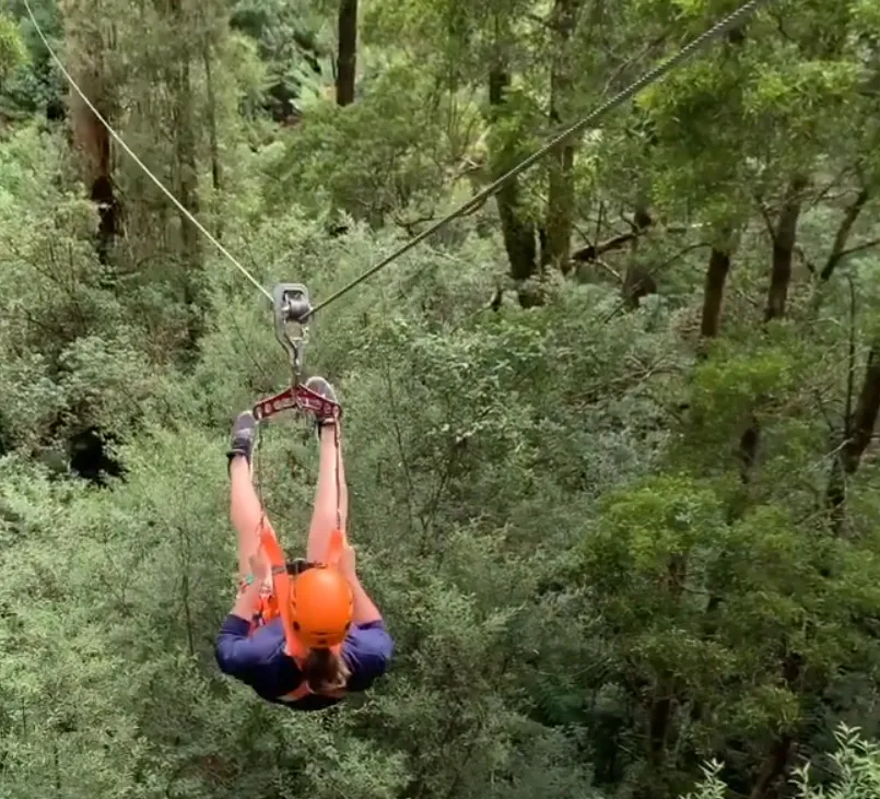 Zipline Tours