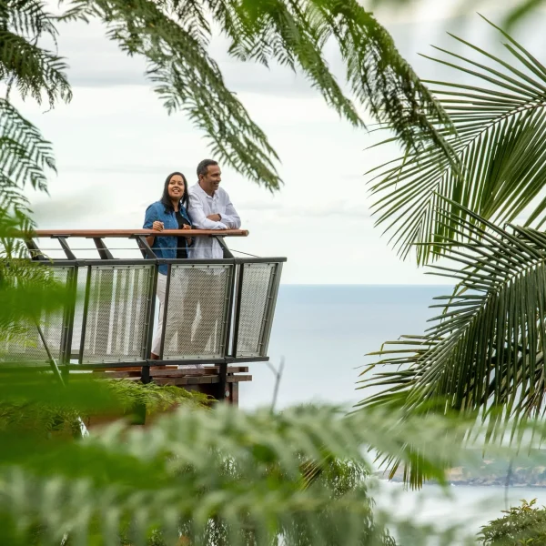 a tralian east coast tours