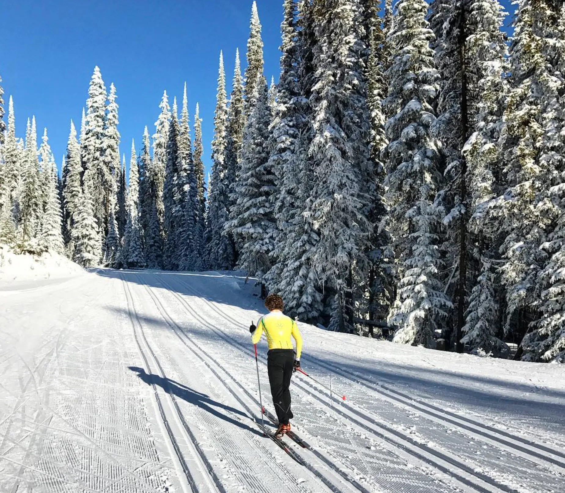 balanced ski